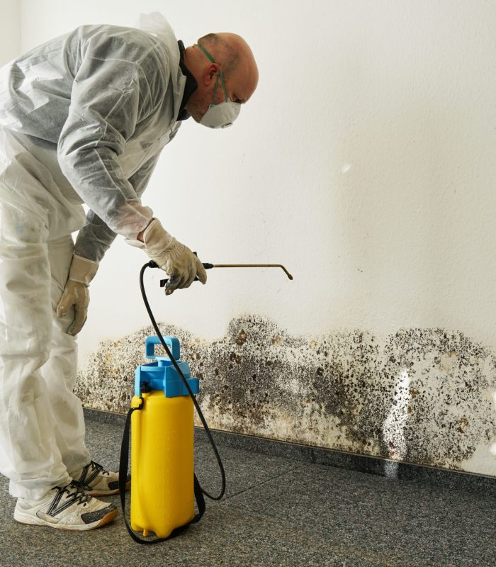 Mold Removal Brooklyn, NY