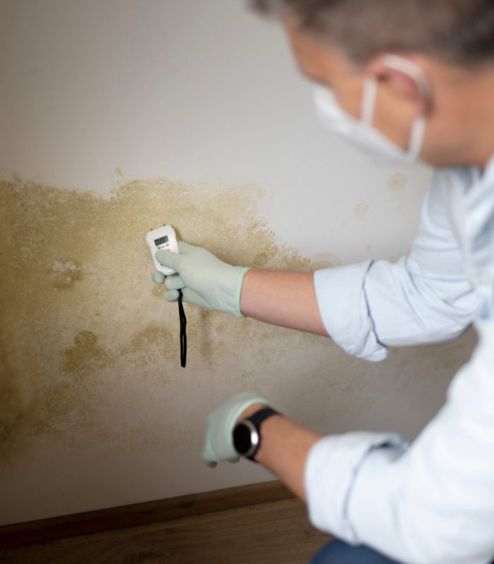 Mold Inspection and Removal Services Brooklyn, NY