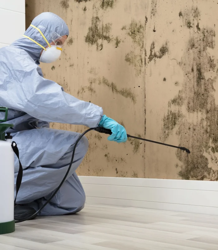 Mold Removal Brooklyn, Queens, Manhattan, staten island, Bronx